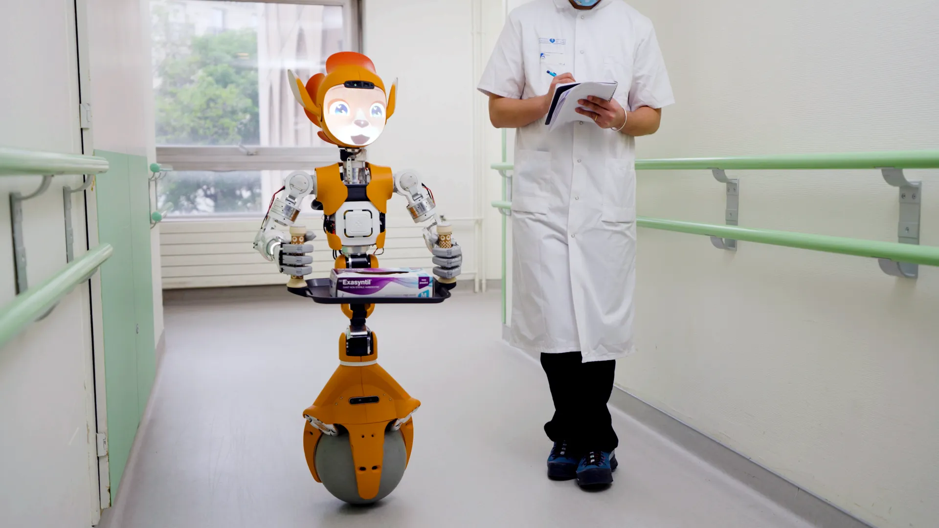 Humanoid Robot